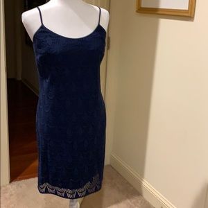 Lilly Pulitzer Blue Lace Dress